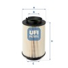 Elemento de Filtro de Combustible